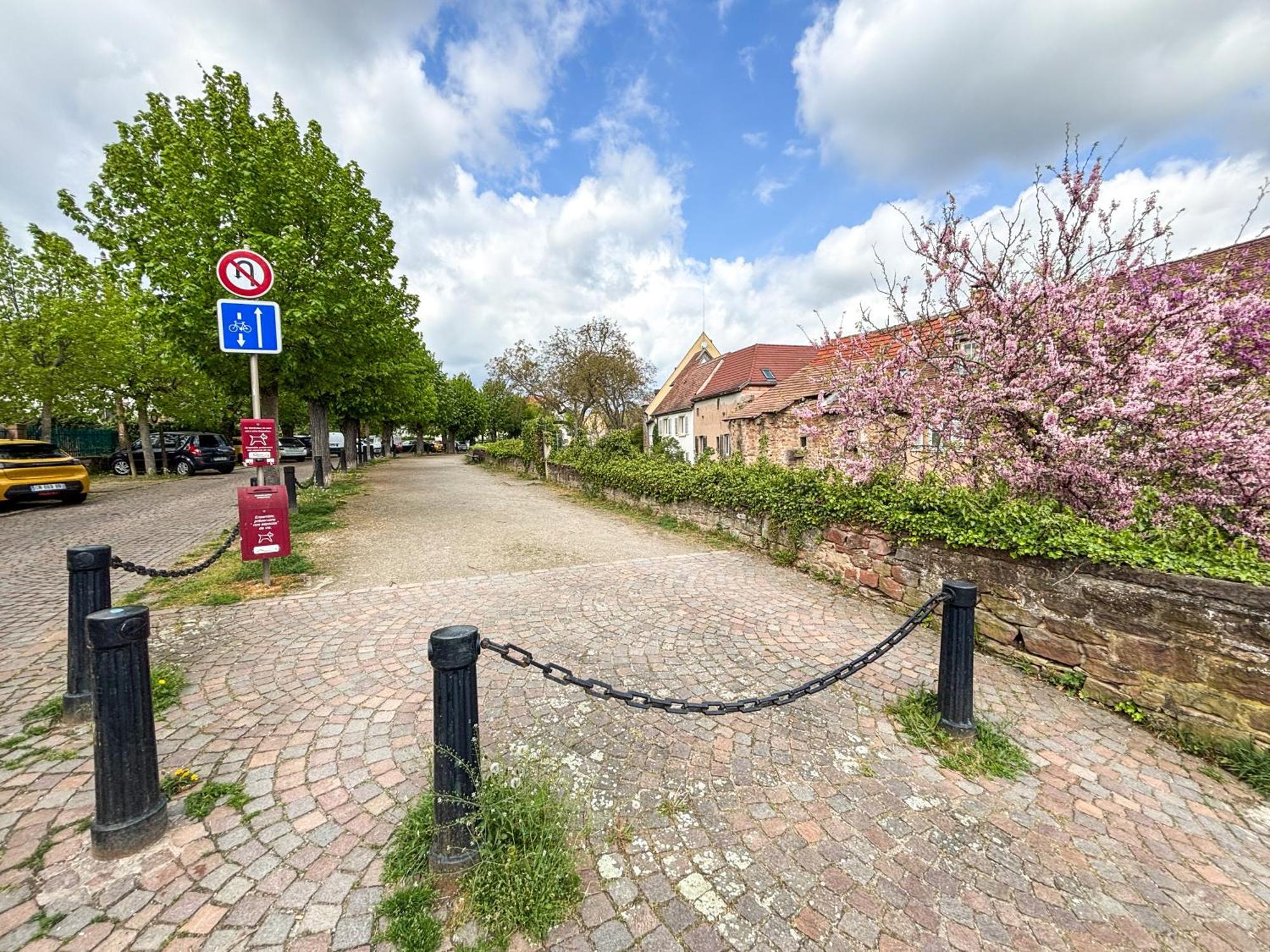 Le Pavillon Des Remparts - Commerces A Proximite - Centre-Ville - Appartement Cosy 奥贝奈 外观 照片